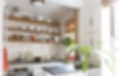 Jatuh Hati Lihat Foto Desain Dapur Mungil Rak Terbuka? Kenali Dulu Nih Plus Minusnya
