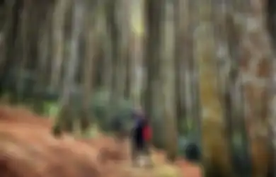 Cari Spot Foto Aesthetic di Bandung, Jelajahi Bukit Moko Tempat Wisata yang Lagi Hits