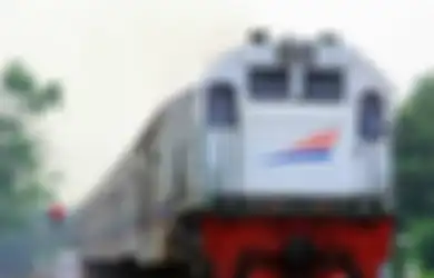 Jadwal Kereta Api Matarmaja Solo Semarang Januari 2023: Wisata ke Cimory on the Valley Semarang