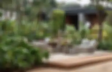 Cara Mudah Healing di Taman Tropis Tanpa Keluar Rumah