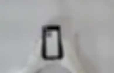 Ramai di TikTok Apple iPhone 16 Pro Max dengan Kamera 108 MP, Begini Faktanya