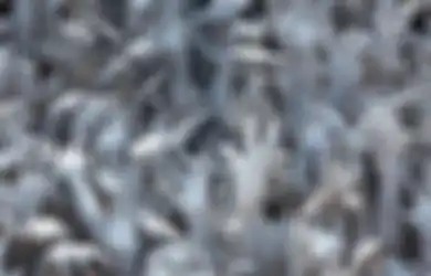 4 Weton yang Dinaungi Khodam Bolo Sewu, Dijaga Ribuan Jin Pengasuh