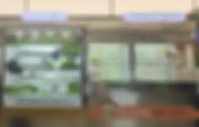 Pengalaman Makan di GREENS, Restoran dengan Pertanian Multidimensi. MENARIK!