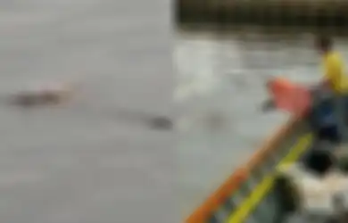 Geger, Viral Video Buaya Mengantar Jasad Balita yang Tenggelam ke Pinggiran Sungai, Detik-detik Evakuasi Berlangsung Dramatis