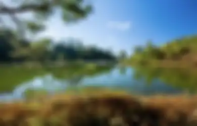 Cara Dapat Foto Estetik di Ranu Regulo Lumajang, Tempat Wisata dengan Aturan Unik