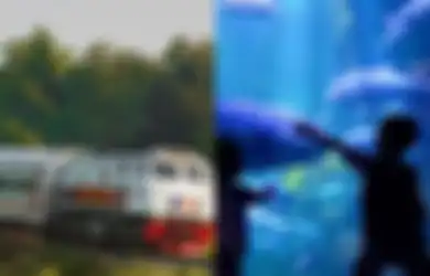 Jadwal Kereta Api Martamaja: Liburan Asyik ke Sea World yuk!