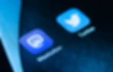 Usai 'Diusir' Twitter, Developer Tweetbot Kini Merapat ke Mastodon