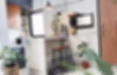 Gak Cuma Fotonya Estetik, 8 Tanaman Ini Ampuh Sedot Racun Dapur Sempit