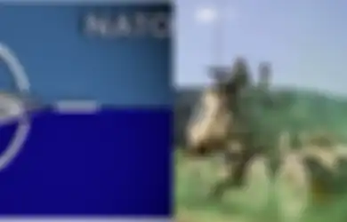 Ngeri, Kota-kota di Ukraina Bukan Lagi Sasaran Rusia, Kini Target Mereka Adalah NATO!