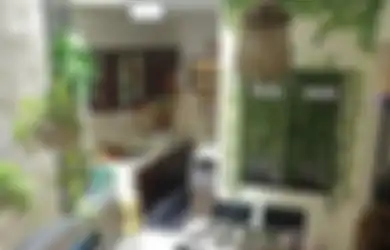 Ramadan Makin Segar, Permak Interior Dapur Kecil Pakai Tanaman Hias, Potretnya Bikin Pangling