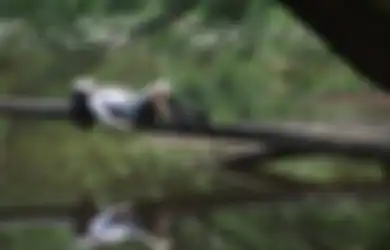 Bukan Gara-gara Jin Khodam, Orang dengan Weton Ini Sudah Misterius Sejak Lahir, Tiap Tindakannya Sulit Ditebak