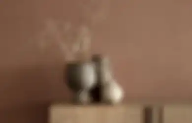 Cara Memanfaatkan Warna Cokelat di Interior Rumah 