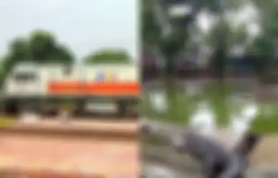 Jadwal Kereta Purwakarta Cikarang: Wisata ke Taman Buaya Indonesia Jaya