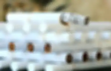 Penderita Asam Lambung Harus Berhati-hati, Kandungan Nikotin Dalam Rokok Bisa Buat Gerd Kambuh