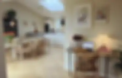 Gak Digerayangi Tikus Lagi, Coba Taruh Tempat Kotoran Kucing di Bagian Ini, Rumah Bebas Pengerat