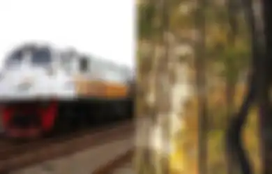 Jadwal Kereta Cikarang Purwakarta Hari Ini: Main ke Bukit Pinus Panyawangan
