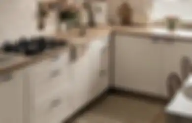 Gak Perlu Keluar Duit ke Laundry, Begini Cara Buat Sampo Karpet Dapur yang Ampuh, Fotonya Kinclong Lagi