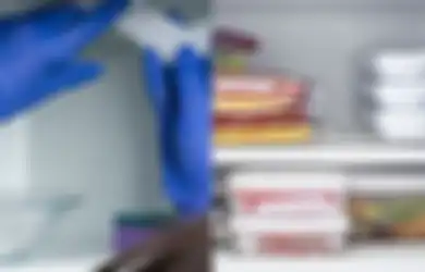 5 Bahan Rumahan Hilangkan Bau Amis di Freezer yang Aman Digunakan!
