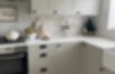 Ibu-ibu Wajib Tahu, Cuka Murni Tak Bisa Langsung Dipakai Buat Bersihkan Lemari Dapur, Fotonya Justru Jadi Gini