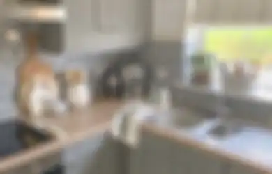 Bikin Semut Gak Nyaman, Bahan Masak Ini Ampuh Buat Bersihkan Peeabot Dapur, Fotonya Dijamin Kinclong