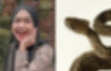 Tak Ada Akses Masuk, Rumah Ria Ricis Tiba-tiba Kemasukan Ular dengan Gerak-gerik Misterius, Diduga Jelmaan Jin Sampai Sekeluarga Ingin Perbanyak Lakukan Ini