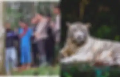 Mbah Slamet Janjikan Pasutri Asal Lampung Bakal Diantar Pulang Naik Macan Putih, Keluarga Korban Bongkar Jurus Jitu Sang Dukun Cari Mangsa