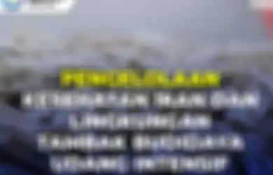Bank Soal PPPK 2022, Ini Contoh Soal P3K Tenaga Teknis untuk Jabatan Pengelola Kesehatan Ikan, Lengkap dengan Kunci Jawaban