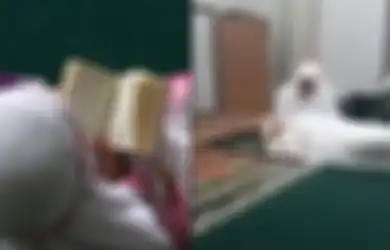 MasyaAllah, Viral Seorang Ibu Meninggal Dunia usai Khatam Al-Qur'an, Didoakan Husnul Khotimah dan Masuk Surga