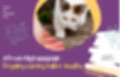 Pegang Kucing Setelah Wudhu Batal Enggak Ya? Berikut Penjelasannya