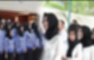Hanya 6 Orang yang Lolos Seleksi PPPK Teknis Pemprov Babel, Peserta Keluhkan Passing Grade Tinggi dan Soal yang Sulit