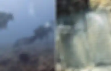 Tetap Utuh Meski Tenggelam, Viral Detik-detik Seorang Pria Temukan Al-Quran di Dasar Laut, Ini Kronologi Lengkapnya