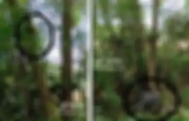 Kepala Nyangkut di Pohon Badan di Tanah, Penemuan Mayat di Ponorogo Gegerkan Warga, Begini Kata Polisi
