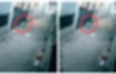 Terekam CCTV Diduga Babi Ngepet Lewat Pekarangan Warga di Tangsel, Polisi Langsung Turun Tangan dan Ungkap Makhluk Aslinya