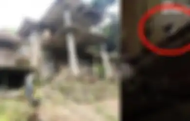 Anjing Dokter Wayan Cuma Bisa Duduk Tenang di Dalam Rumah Bak Tunggui Empunya, Begini Nasibnya Pasca Ditinggal Tuannya