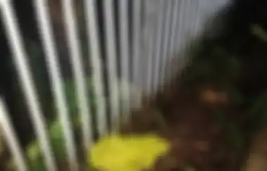 Dikubur Dekat Tempat Sampah, Warga Cisarua Digegerkan Penemuan Mayat Seorang Bayi Laki-laki, Terungkap Alasan TKP Tak Diberi Garis Polisi