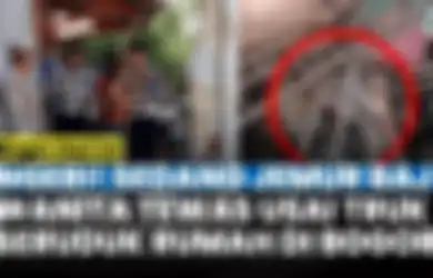 Lagi Jemur Baju di Halaman, Mama Muda Tewas Akibat Diseruduk Truk, Kondisi Anaknya Jadi Sorotan Usai Alami Luka Parah