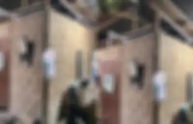 Viral Rumah yang dari Luar Tampak Reyot tapi Punya Interior Mencengangkan, Ini Pemandangan saat Pintu Dibuka