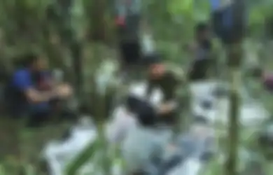 4 Bocah Korban Pesawat Jatuh Lolos dari Maut, Begini Cara Mereka Bertahan Hidup di Hutan Amazon Selama 40 Hari