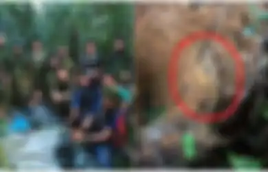 40 Hari Terlunta-lunta di Hutan Amazon, Begini Kisah 4 Bersaudara Korban Selamat Kecelakaan Pesawat, Ditemukan Berkat Si Bungsu Lakukan Ini