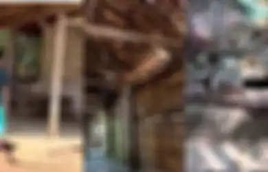 Kecantol Harga Murah, Viral Pria Beli Rumah Rp 10 Juta, Intip Penampakan Kamar Tidur dan Sumur Tua yang Bikin Merinding