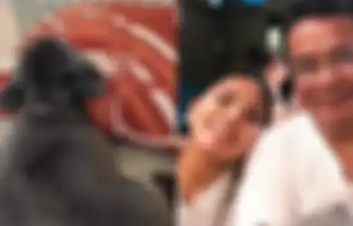 Bebe Terpotret Hidup Mewah Duduk di Bantal Hermes, Cara Anak Hotman Paris Perlakukan Anjing Kesayangannya Ini Jadi Sorotan: Ikut Shopping