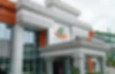 Lowongan Kerja PT Perkebunan Nusantara XIII (PTPN XIII) untuk Lulusan SMA/SMK dan D3, Berikut Persyaratannya