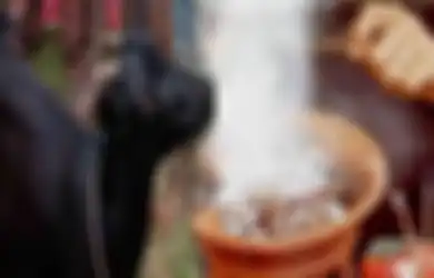 Dijanjikan Uang Rp3 Miliar tapi Dapatnya Sampah dan Kertas Kosong, Pria Bandung Laporkan Dukun Pengganda Uang di Sukabumi ke Polisi