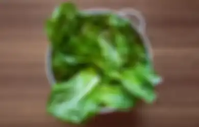 Viral di TikTok, Air Rebusan Selada Bisa Atasi Insomnia. Kok Bisa?