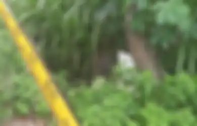 Titik Terang Misteri Mayat Gadis dalam Karung di Kediri, Rupanya Korban Pembunuhan Ayah Kandung, Kakak dan Paman Buka Suara