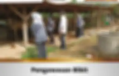 Bank Soal PPPK 2023, Ini Kisi-kisi dan Contoh Soal P3K Formasi Pengawas Bibit Ternak Terampil, Lengkap dengan Kunci Jawaban