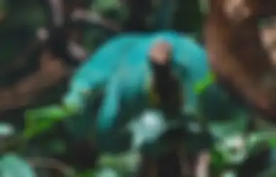 Terungkap Lokasi Persembunyian Khodam Ular, Waspada Jika Ingin Menaklukannya!