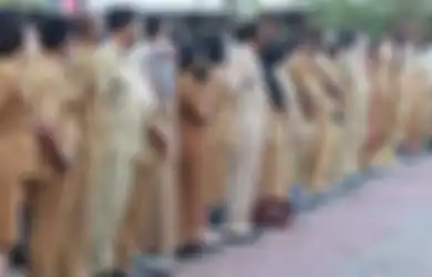 Jurusan S1 yang Berpeluang Lolos dalam Pendaftaran CPNS dan PPPK 2023