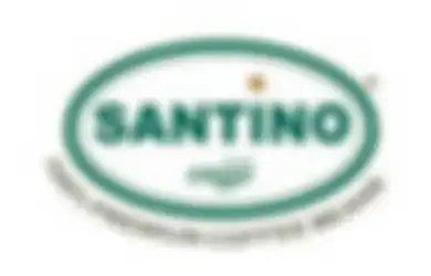 Lowongan Kerja Digital Marketing Gaji Rp 5-7 Juta, PT Santino Buka Kesempatan untuk Lulusan D3 dan Sarjana