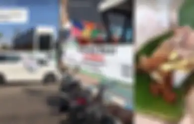 Viral Mobil Alphard di Ponorogo Ini Disulap Jadi 'Gerobak' Jualan Nasi Bungkus Rp 15 Ribuan, Netizen: Orang Kaya Gabut